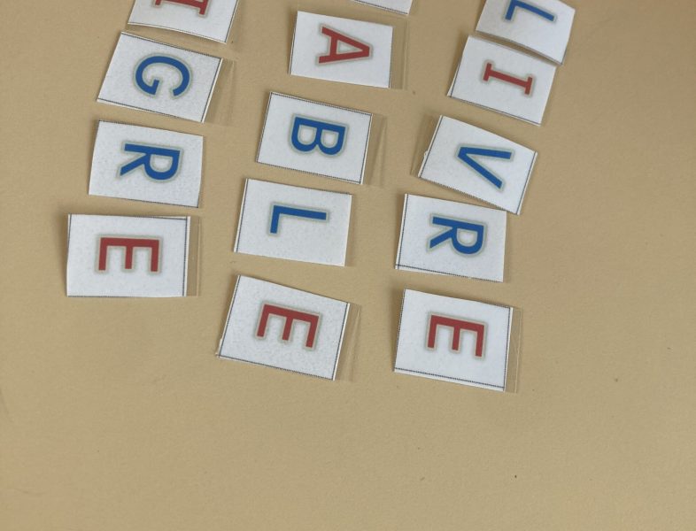 Soutien scolarité TSA et TDAH